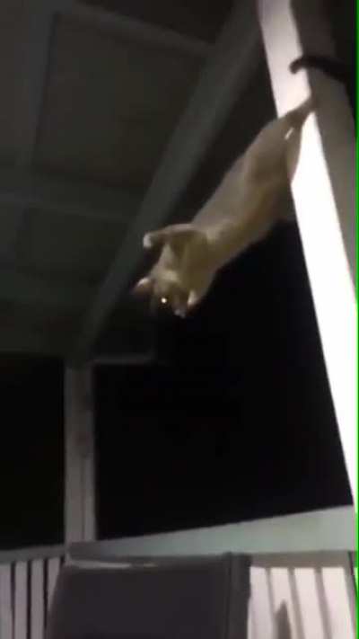 я тьма я смерть