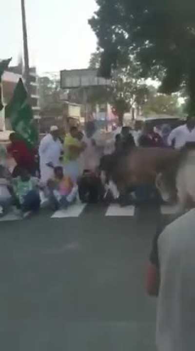 Sanghi 🐂