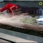 Morreu mais passa bem