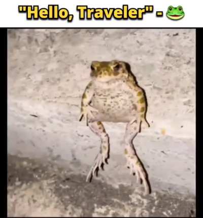 Bi🐸irl
