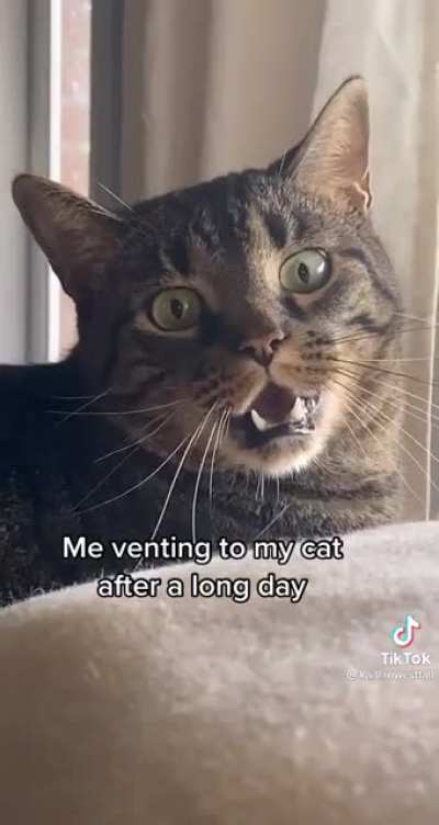 *wtf*