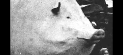 Very soviet