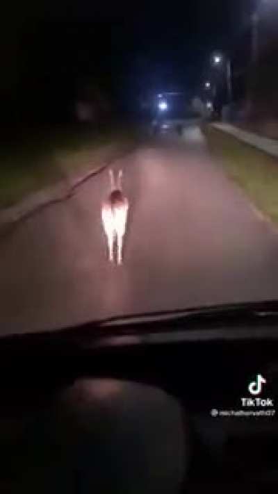 Move b****, get outta way!