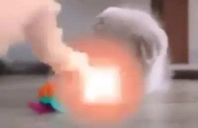 Terrorism