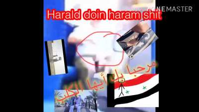 يوم جيد Harald Haram 🇲🇷🇲🇻 😂 قطة لطيفة Bondage Short Film 🤣 toilet brush 😑