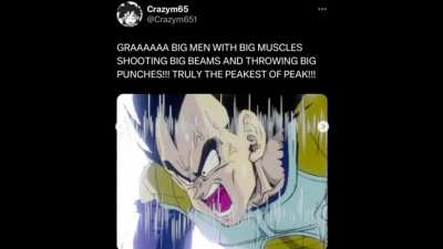 Ah yes, the average Dragon Ball fan…