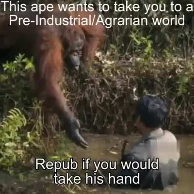 Monke 😳