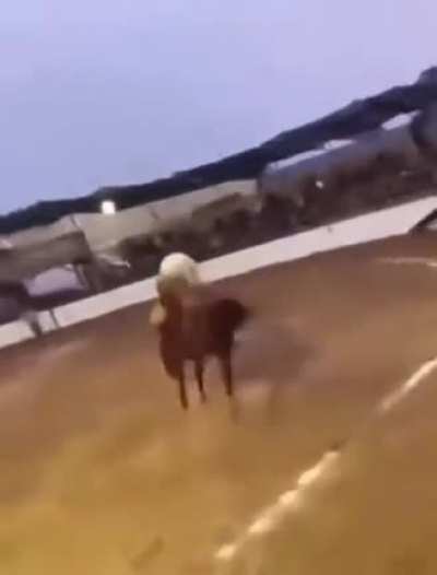 RKO