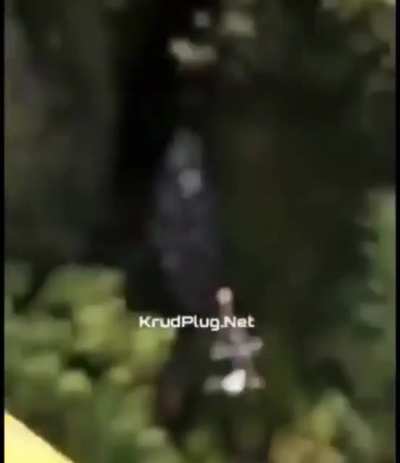 Guy gets thrown off a bridge