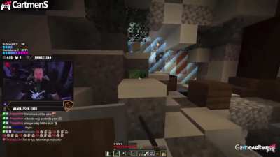 Wait, there’s a minecraft flair