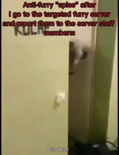 Anti-Antifurries meme : come back here.