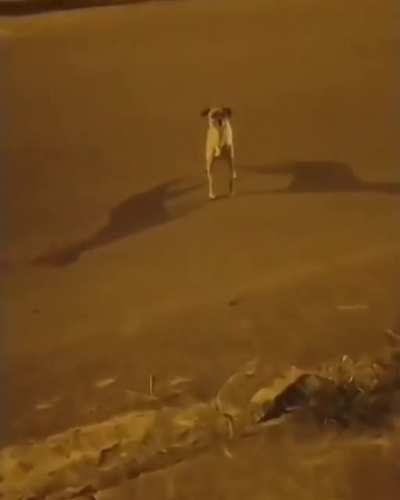 Ué