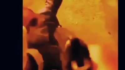 gun