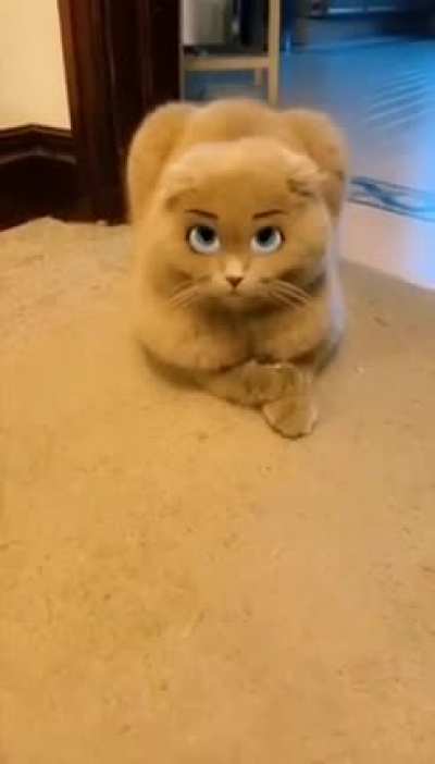 Feral_irl