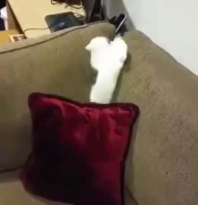 Hit 'em with the ol' upside-down-sproing-butt-plop