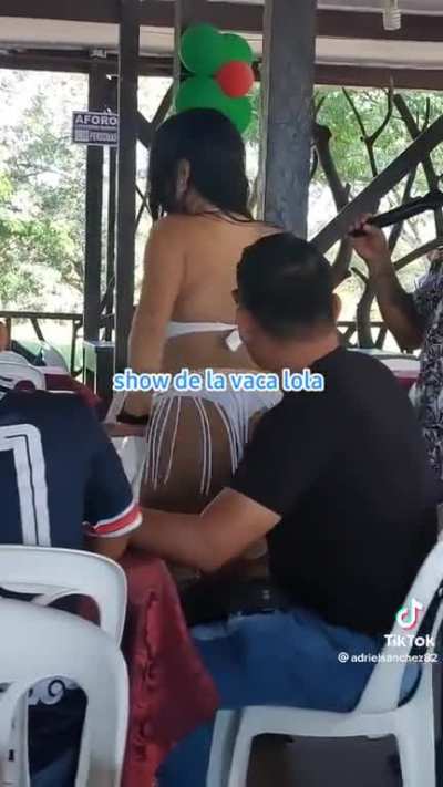 “The Lola cow” show