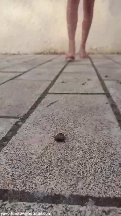Girl crush roach