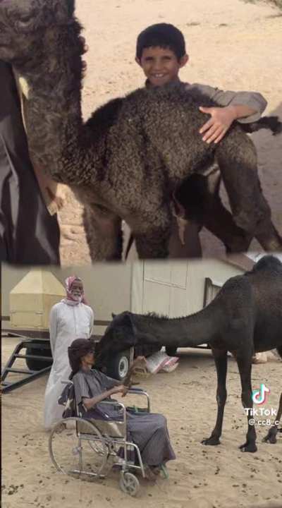 A Camel that didn’t forget his friend 💕