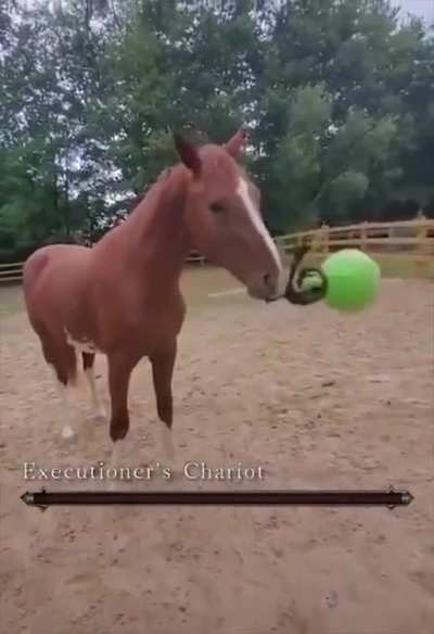 Don't flinch