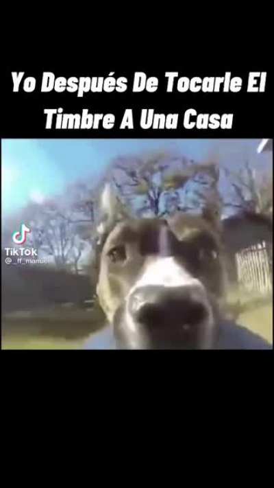 Confirmo
