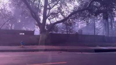 Much of Altadena seemingly wiped out.