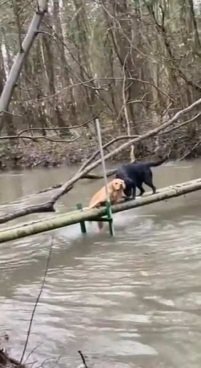 Helping hand