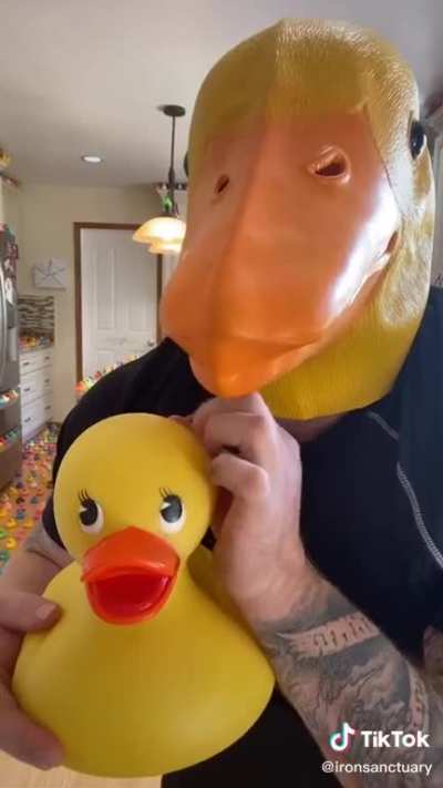 Ducks!!
