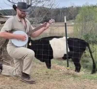 Attempted video demo of banjo project, but ...