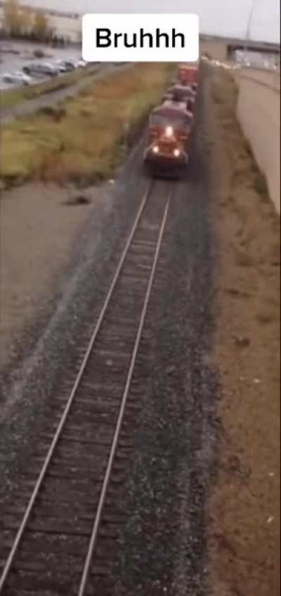 found this on tiktok and immediately thought of this sub  