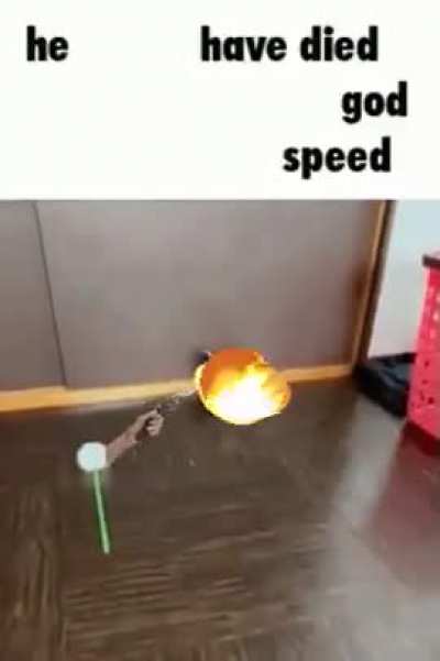 rip