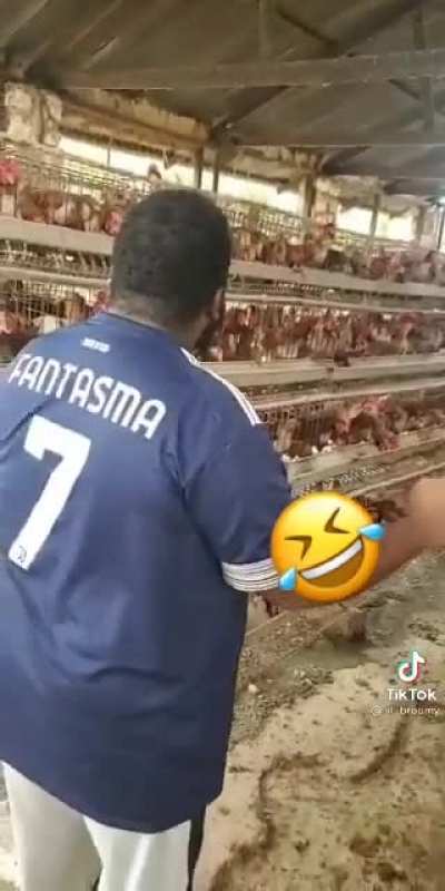 Chicken MC