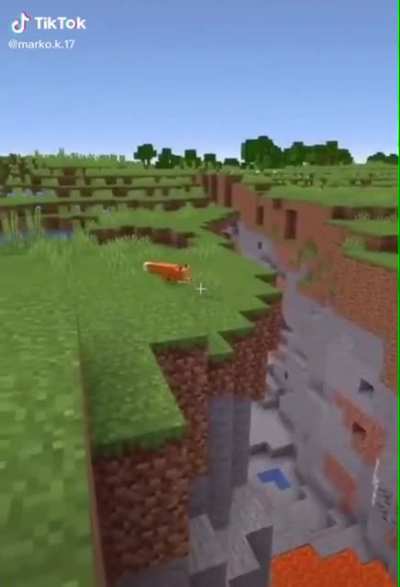 foxes dont fly