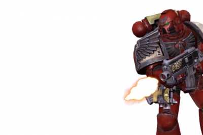 Nekos are not Xenos