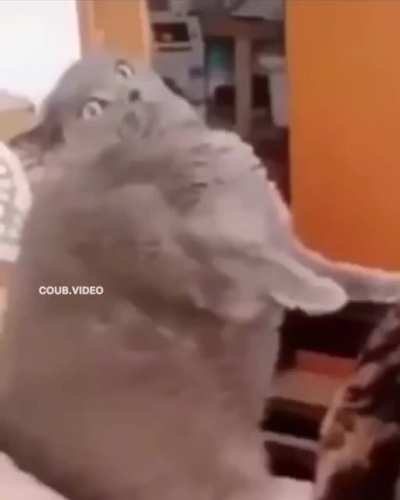В свое удово<wbr>льств<wbr>ие...