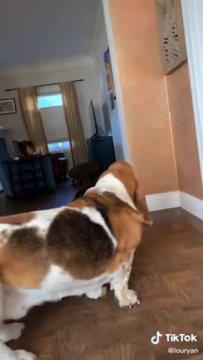 Winston stole the show