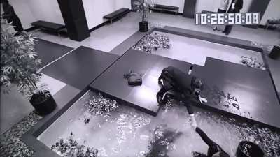 The full Koi pond surveillance footage. Deleted scene.