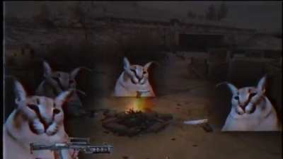 happy floppa friday everyone, stop at the fire to rest before scrolling onward.