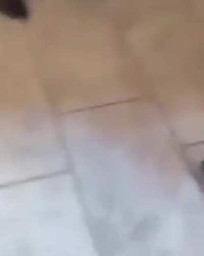 Abdução?