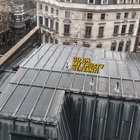 royal seagull