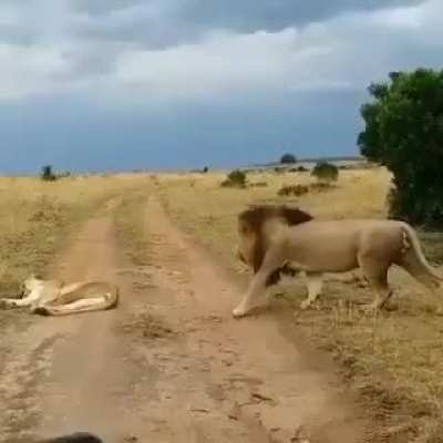 Don't sneak up on mom