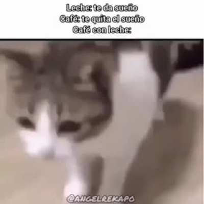An interesting title