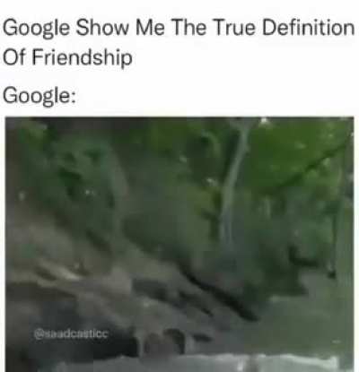 Friends 