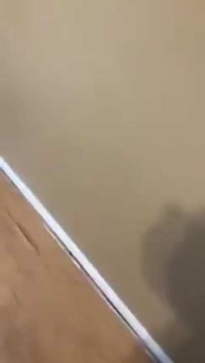 that aim