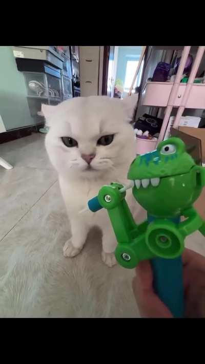That looks fun
