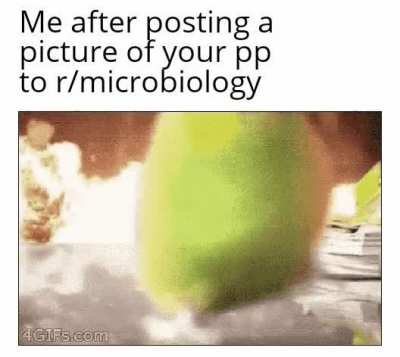 Sorry guys , I didn't mean to hurt you