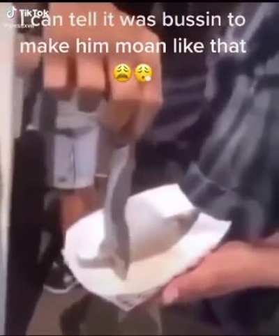 Horny Seal Gets A Load