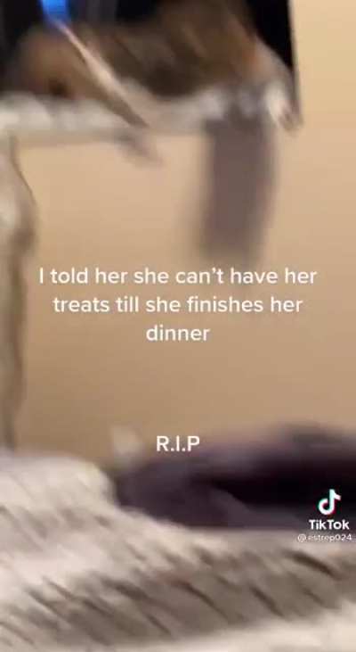 Kitty can’t live without her treats