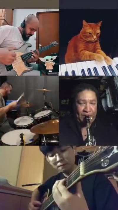 jazzy cat