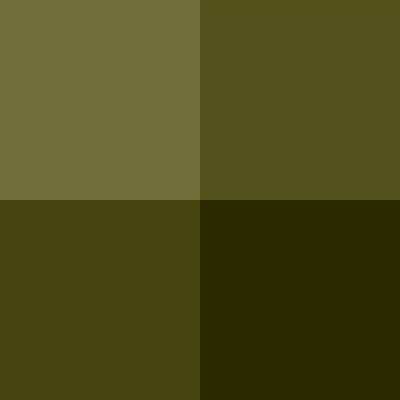 What amount pixels are in this version of the Shrek Movie?