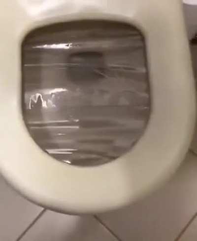 Idk if this has been posted already but x post from r/unexpected